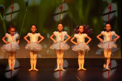SHOW_00367.jpg